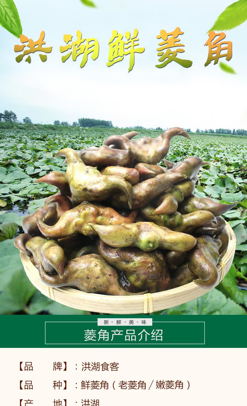 生鲜农家蔬菜 家常菜 老菱角【煮后粉糯】 1斤【图片 价格 品牌 报价