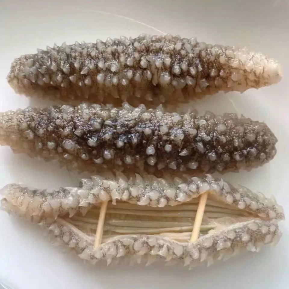 12倍高泡发印尼海参干货刺参淡干海参礼盒装7年黑刺参50g