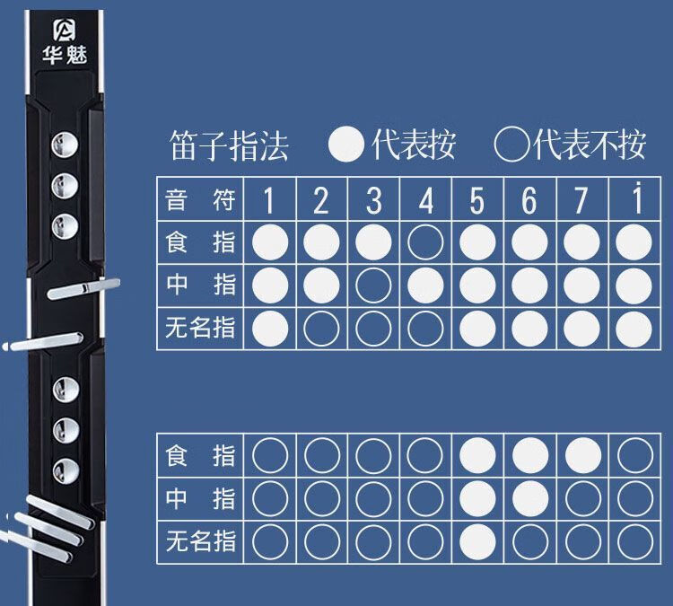 电吹管指法教学图片