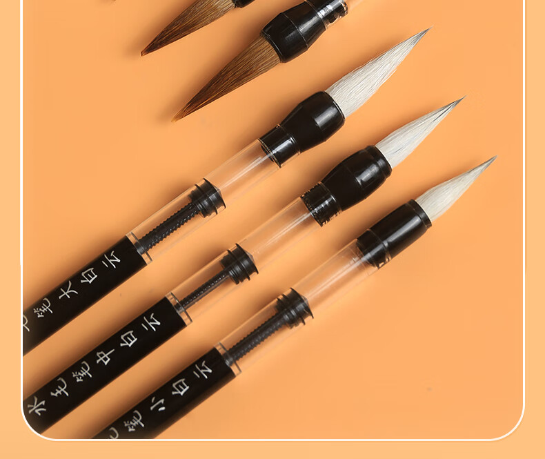 天天练(tiantianlian) 自动吸水毛笔吸墨毛笔学生书法练习自吸注水