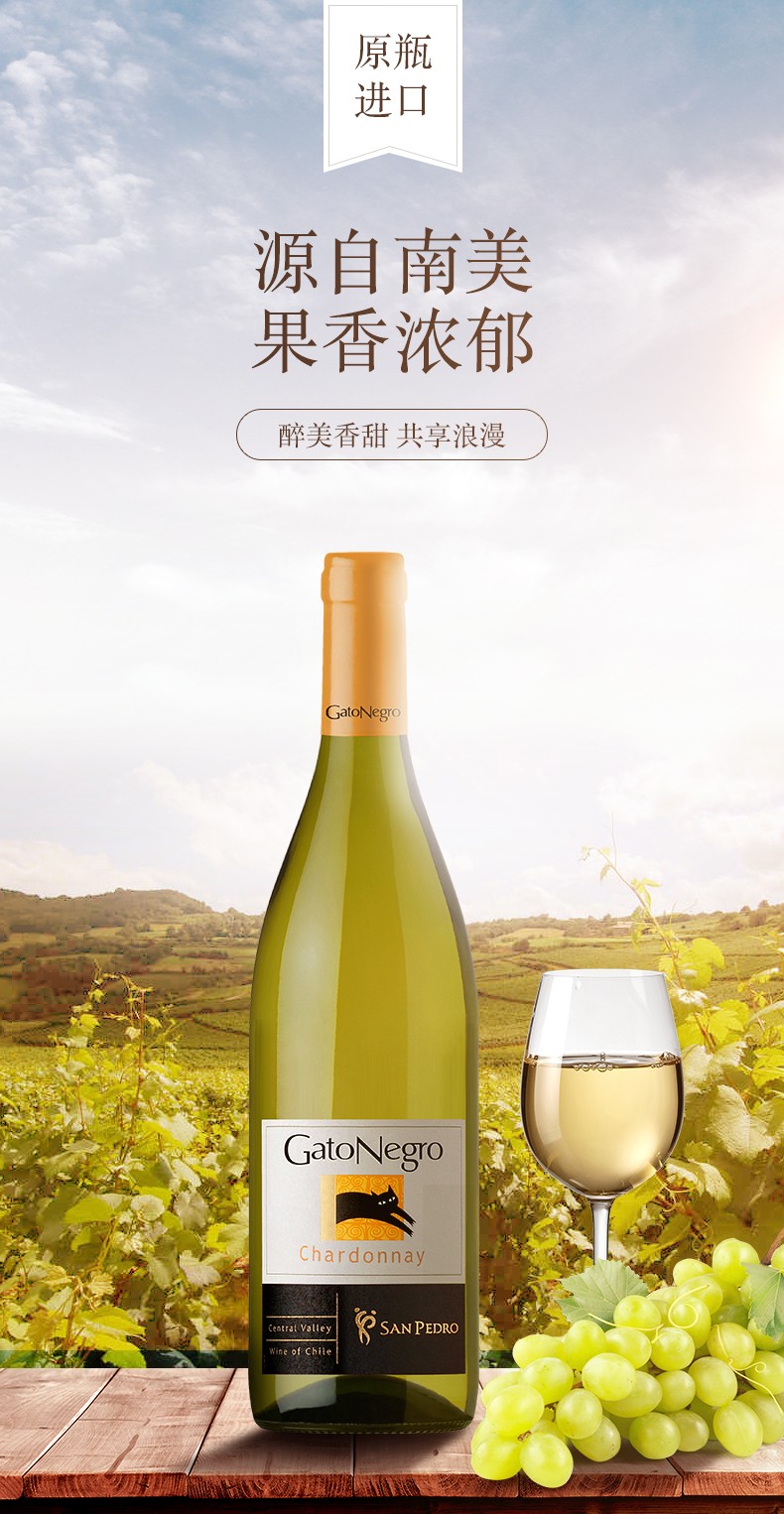 gatonegro智利黑猫白葡萄酒霞多丽莎当妮chardonnay原瓶原装进口智利