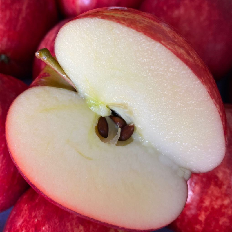 新西兰进口嘎啦果gala加力果姬娜果苹果新鲜水果当季鲜果12个 12颗