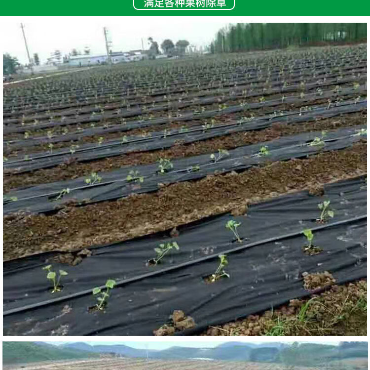 抗老化农用生态无纺布防草除草遮地布可降解果树果园茶园耐用新型11