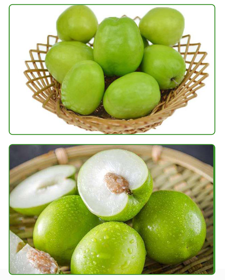 【顺丰】现摘牛奶大青枣 脆甜蜜枣应季枣子新鲜水果整箱 2500g