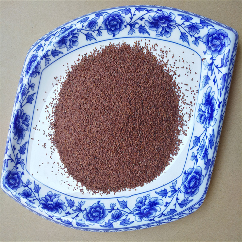 天仙子中草药材南天仙子干净无硫种子sn9487100克