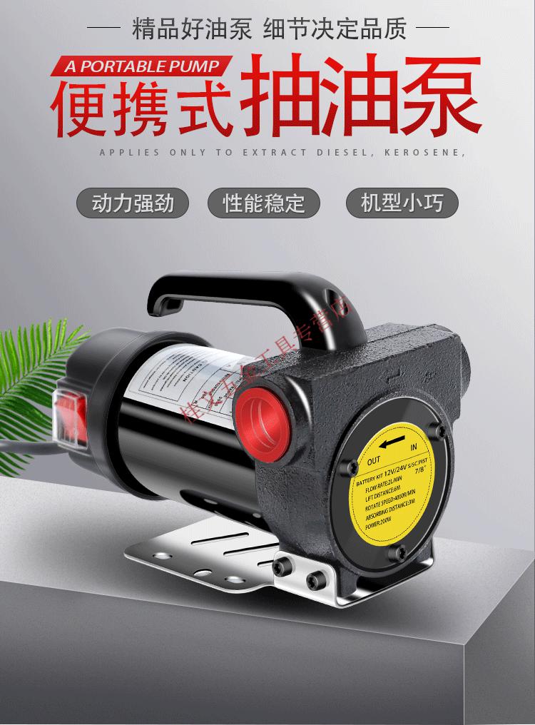 定做电动抽油泵12v24v小型便携式加油机220v家用柴油器吸油管自吸泵