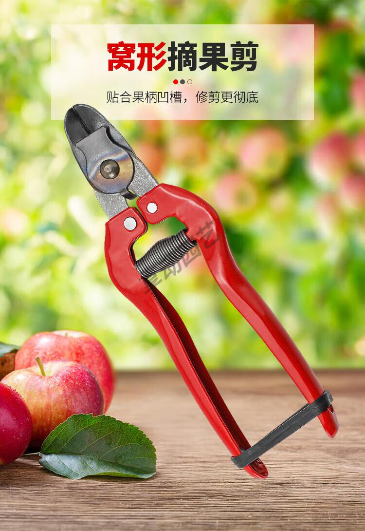 苹果果把剪 窝子剪柑橘采果剪脐橙果剪窝型果剪刀摘果剪采果稀果剪 20