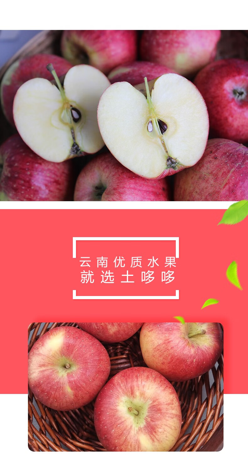 云南昭通小苹果新鲜水果红露苹果嘎嘣脆甜孕妇水果现摘5斤 2500g 65mm