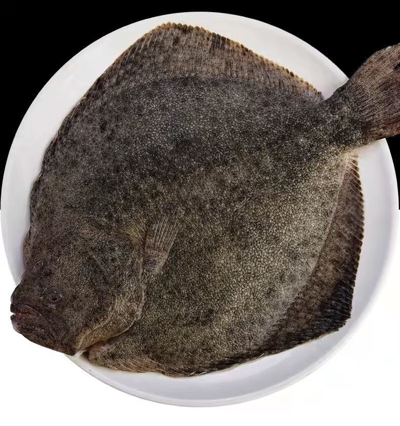 新鲜多宝鱼海鲜比目鱼海捕鲽鱼大菱鲆鸦片鱼海鱼鲜活冷冻水产 腾旺纳