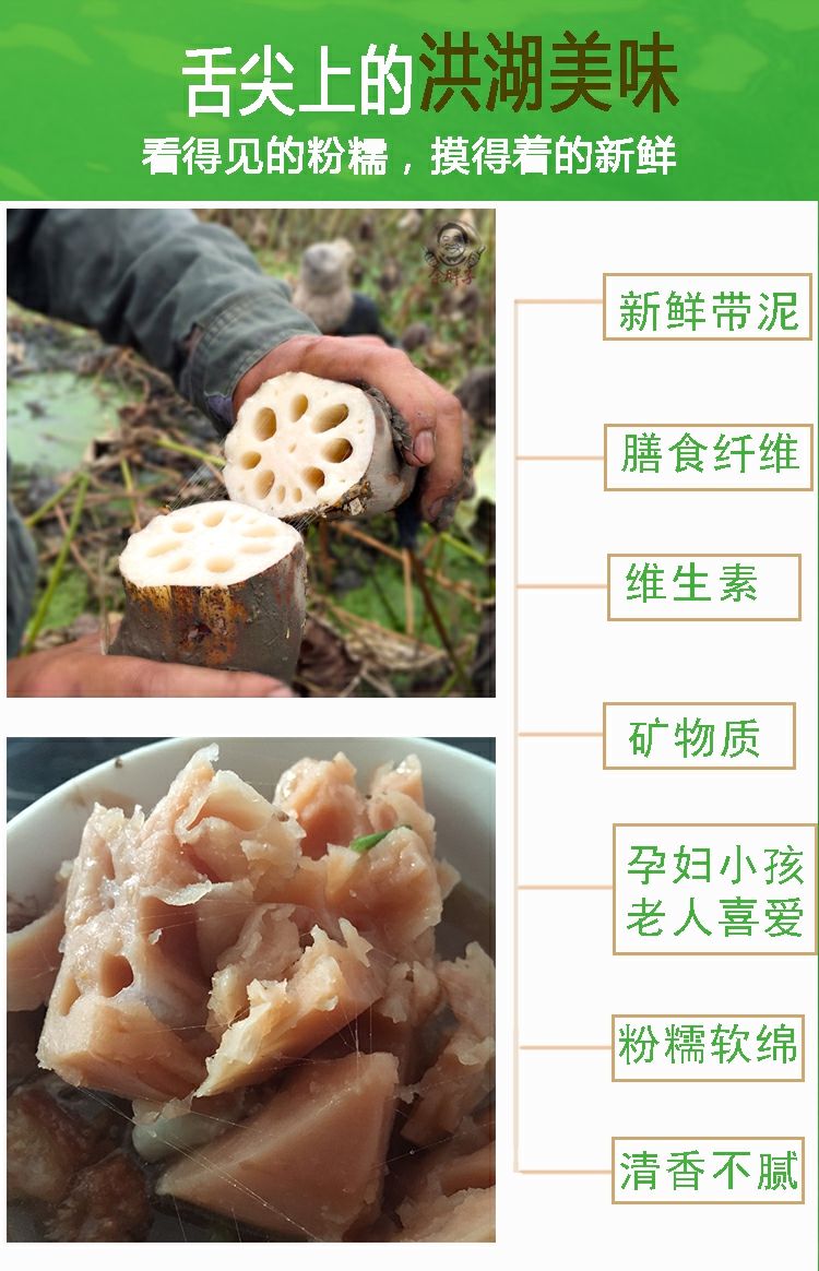 余胖子湖北洪湖莲藕煲汤粉藕新鲜现挖特产桂花糯米糖藕莲菜红连藕2500