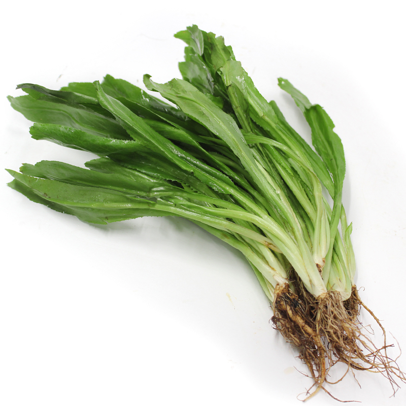 【顺丰发货】大芫茜新鲜食用泰国香料菜大香菜500g顺丰冬阴功汤调味刺