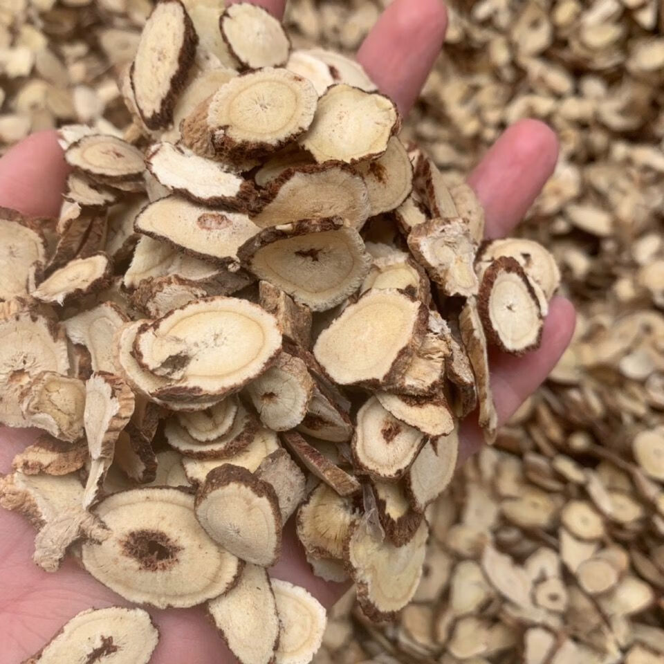 野生红芪500g50g甘肃红芪片正宗黑芪片 红芪中药饮片 无硫 野生红芪