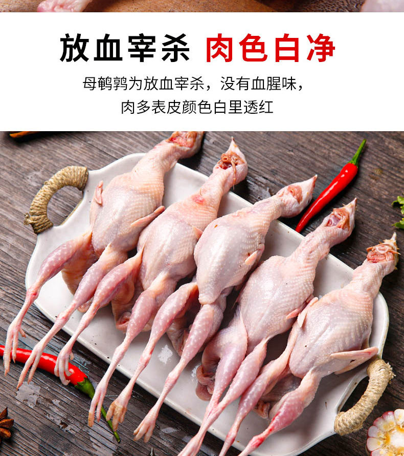 40只大号母鹌鹑新鲜鹌鹑肉速冻白条鹌鹑烧烤油炸鹌鹑现杀批发新鲜5只