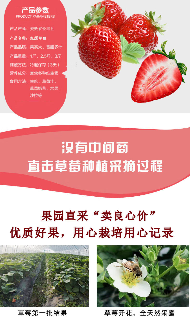 安徽长丰红颜奶油新鲜草莓当季现摘精选水果 3斤小果 半斤 约115个()