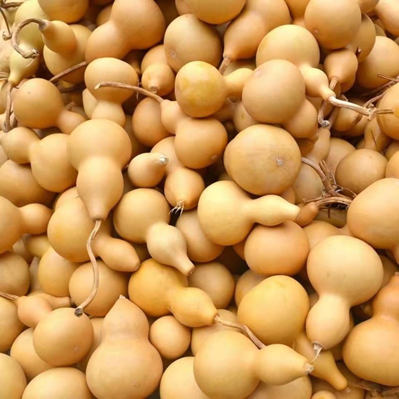 药声录(yaoshenglu)中药材葫芦整个葫芦葫芦壳抽葫芦非碎片 50 克