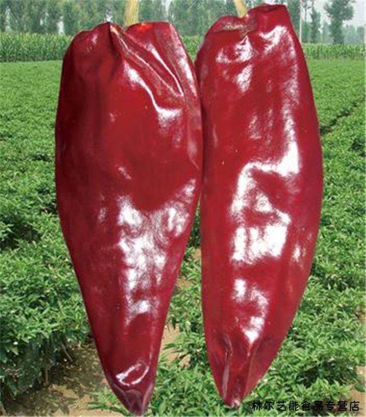 北京红益都板椒大铁皮椒红不辣椒干批发新疆红油上色专用055斤红不辣