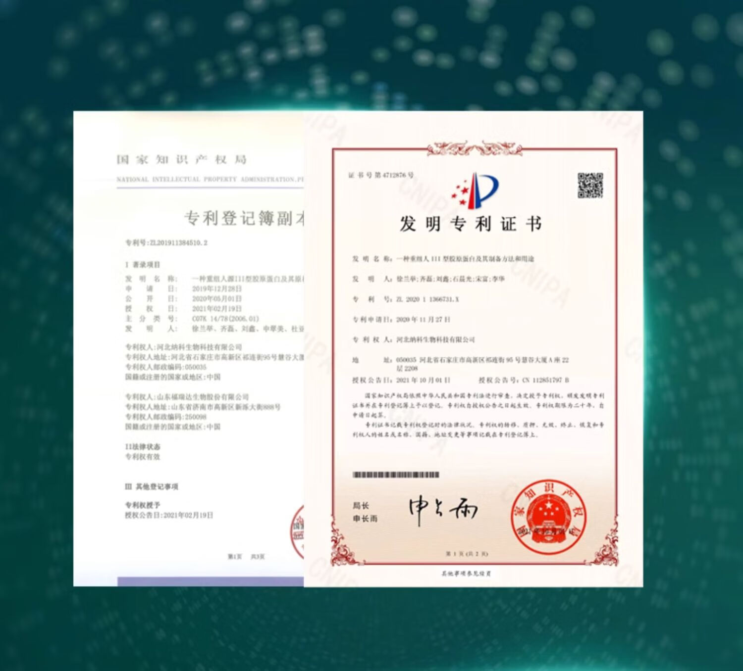 颐莲（RELLET）珂谧重组胶原蛋白益护御龄精华液 1.5ml*20支*3盒