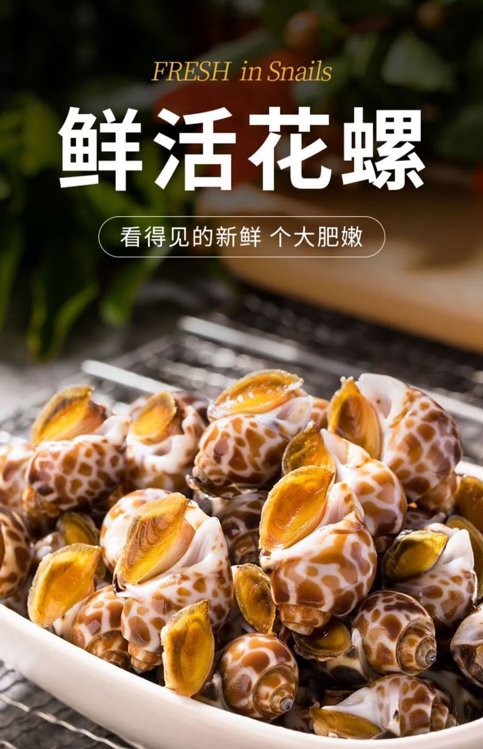 花螺鲜活冷冻新鲜海鲜螺类海螺香螺东风螺贝类大猫眼螺冰冻花罗4斤吃
