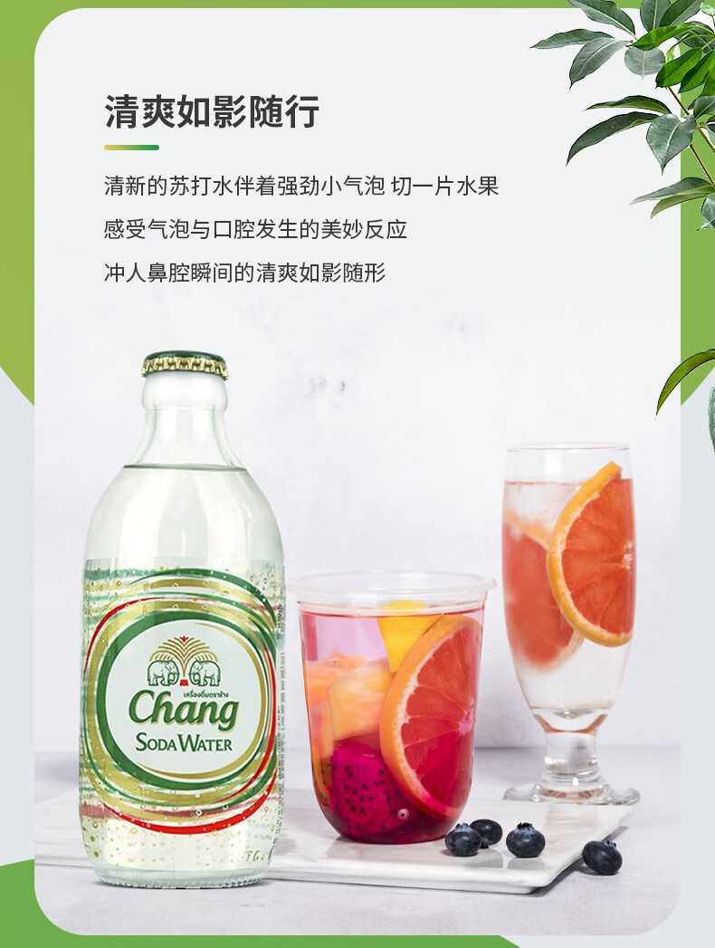 象牌气泡水泰国大象苏打水泰象气泡水0卡象牌碱性矿泉水325ml24瓶整箱