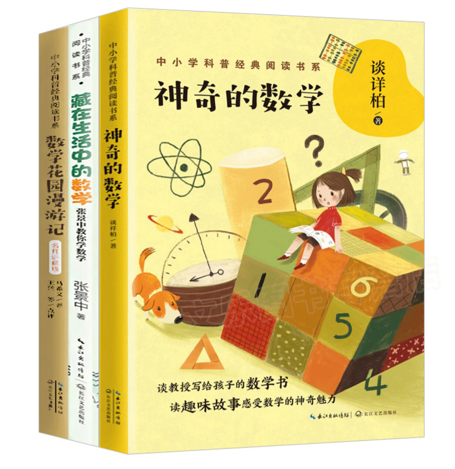 中小學科普經典閱讀書系全3冊神奇的數學全套繪本思維遊戲書國王藏在