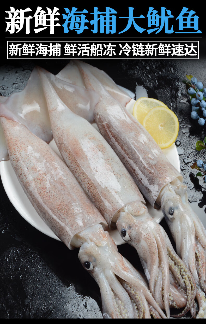 大鱿鱼生鲜整只东山大管横富港冷冻新鲜鱿鱼须铁板烧烤食材商用批发海