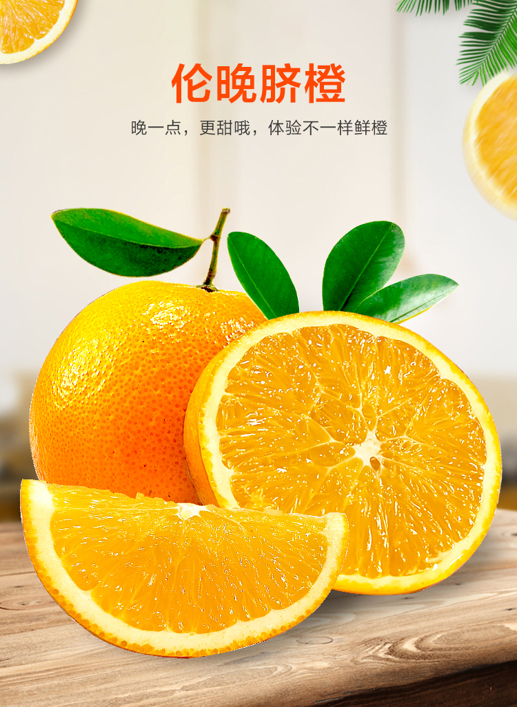 聚领鲜湖北秭归伦晚脐橙当季新鲜橙子生鲜水果3斤单果6065mm