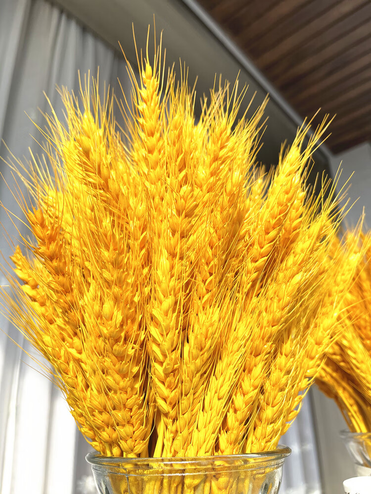 佟年 高品质金黄金麦穗干花客厅摆设装饰过年花摆件天然小麦大麦花束