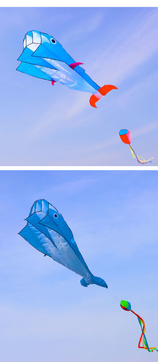 潍坊软体鲸鱼风筝新款3d立体大人专用高档大型好易飞儿童海豚风筝 红