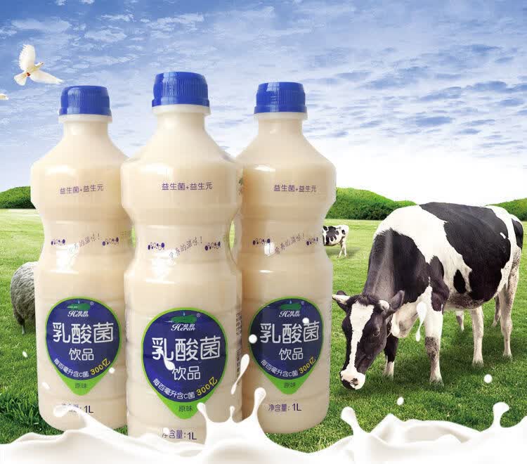 大瓶装乳酸菌益生元1l装整箱饮品宴会酒席饮料 2瓶装【图片 价格 品牌
