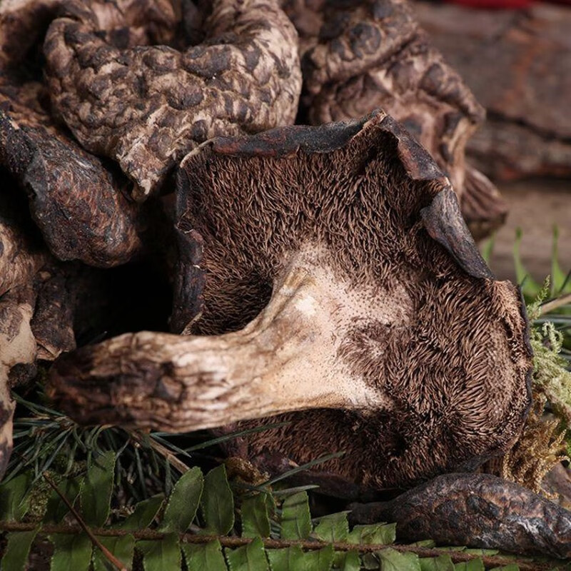 潽禧草堂 中药材 虎掌菌 别名:獐子菌 老鹰菌 黑虎掌 500克