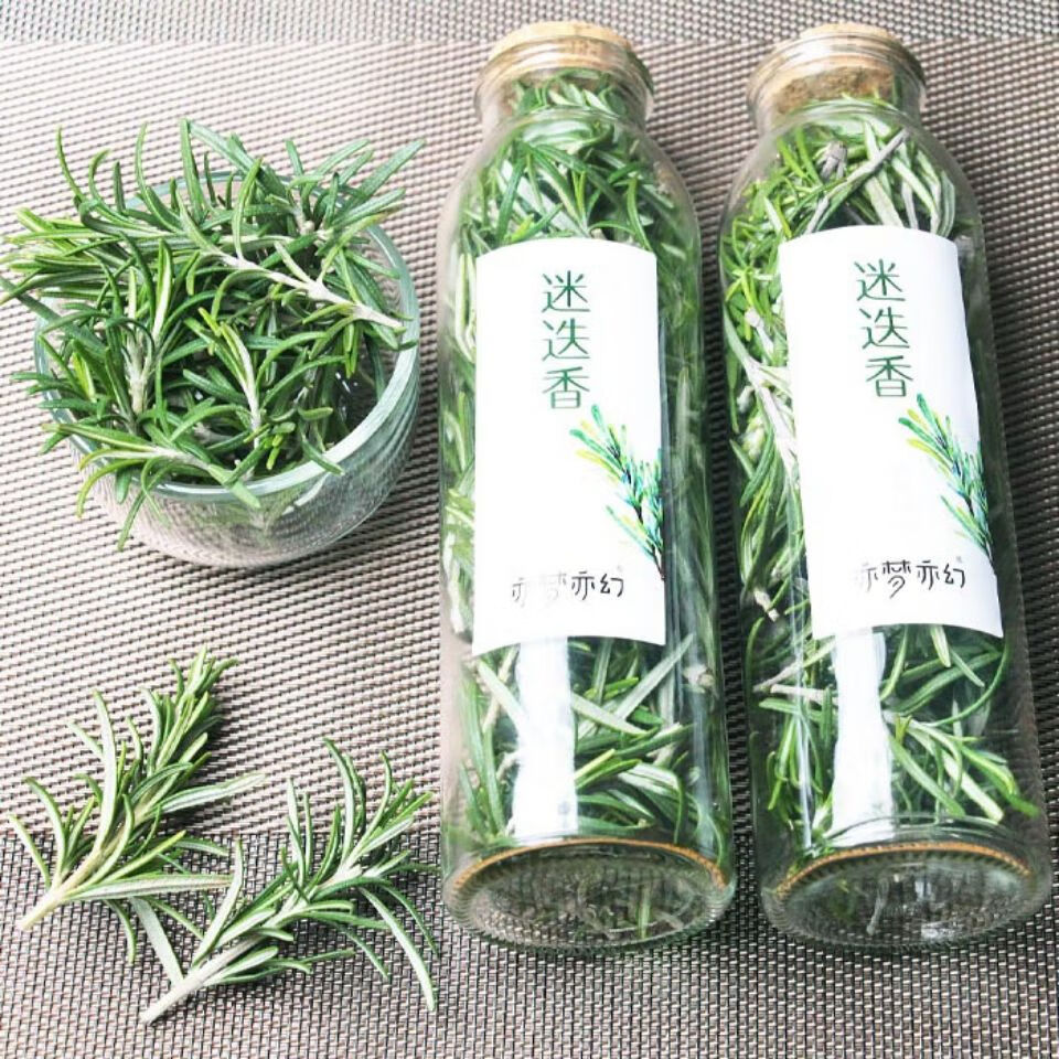 即食盆栽新鲜调味枝条马鞭草酮 西餐牛排冷饮蛋糕点装饰可食用香草料