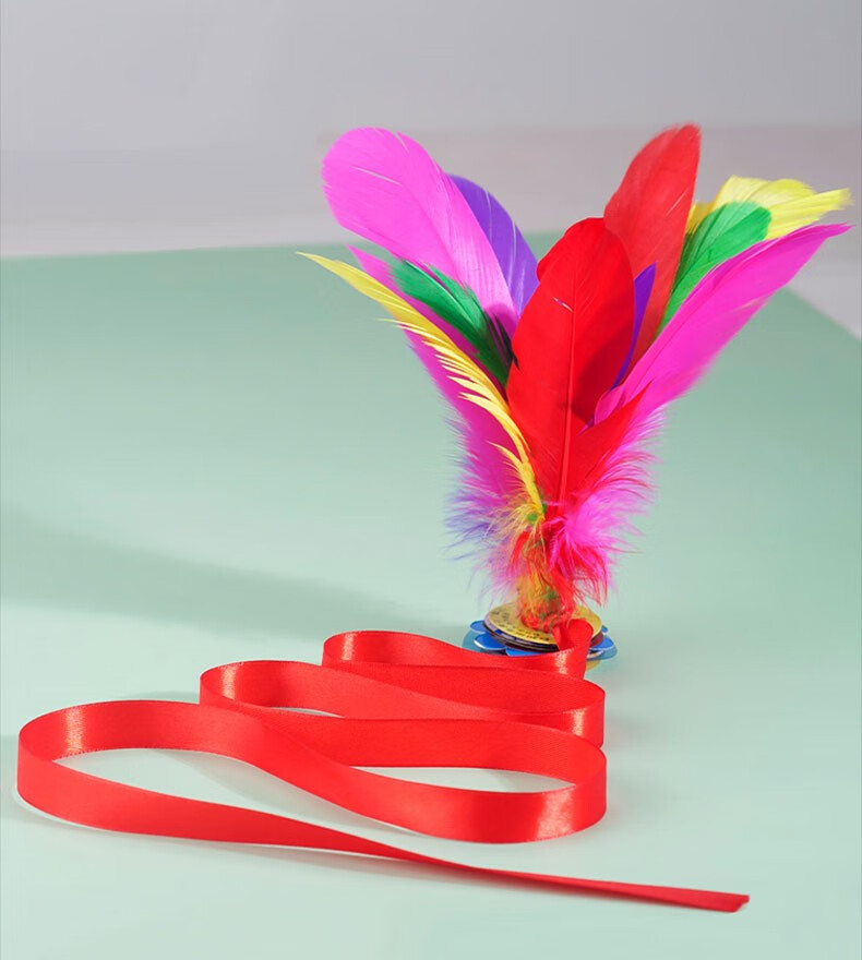 领豪 键子鸡毛毽子 鸡毛毽子毽子儿童小学生幼儿园初学带绳子脚踢鸡毛