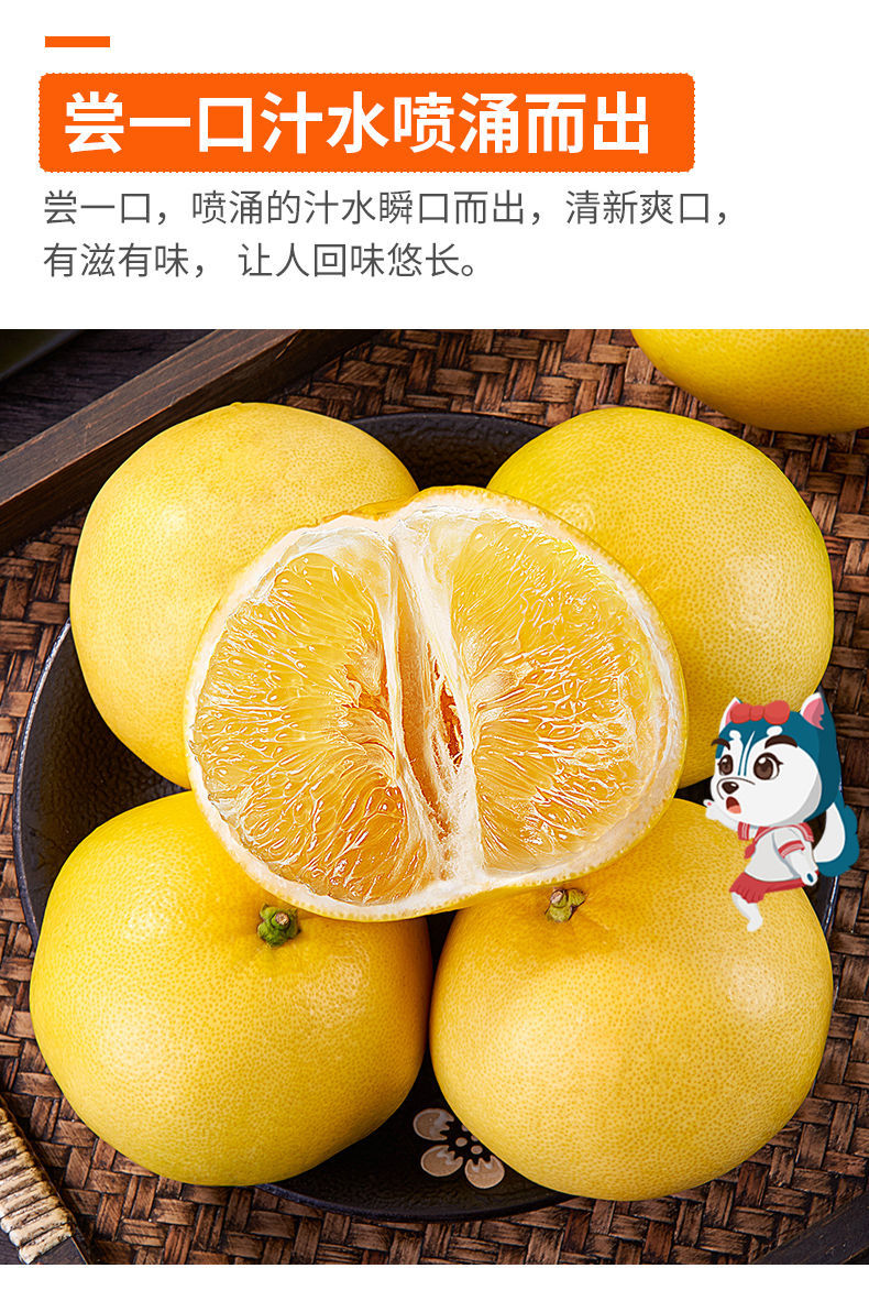 黄金蜂蜜柚纯甜大果新鲜310斤批发礼盒葡萄柚精选中果10斤装礼盒装