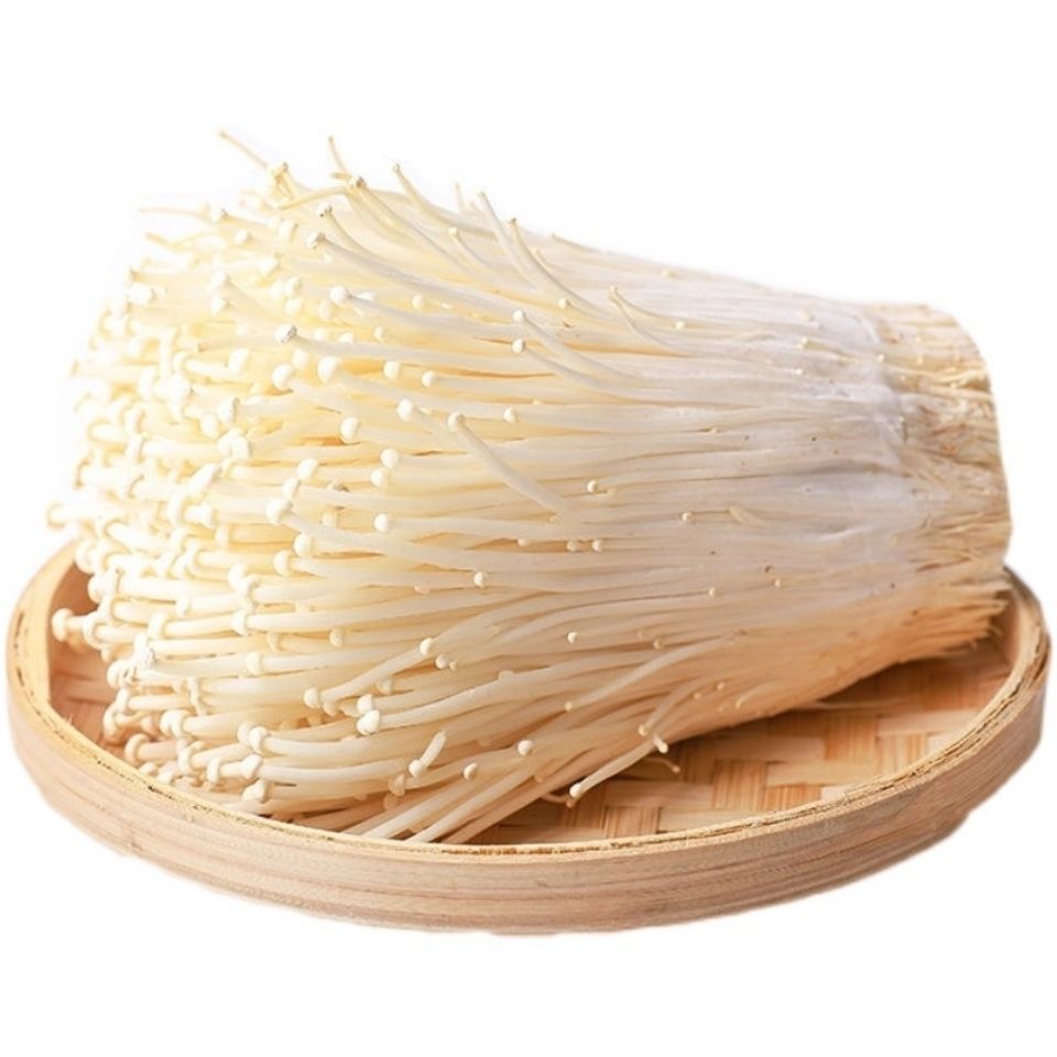 新鲜金针菇农家自种食用菌菇冬菇火锅涮蔬菜煲汤金针菇一斤