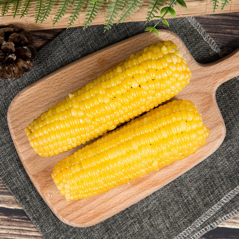 糯玉米东北甜糯玉米棒真空玉米棒新鲜粘玉米即食玉米(坏果包赔) 中号