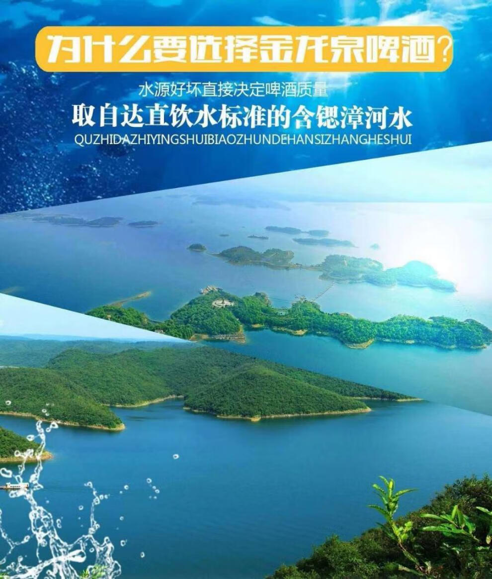 金龙泉啤酒湖北特产金龙泉玖尊啤酒整箱500ml8
