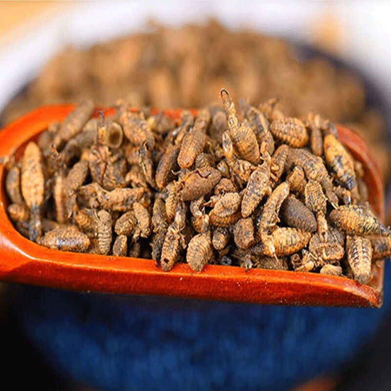 迎亿堂 金沙牛 中药材 广西野生蚁狮 蚂岭虫 地牯牛 沙牛虫 5-100克