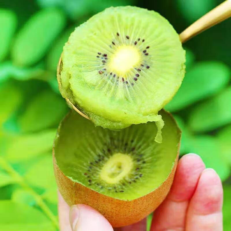 陕西海沃德绿心猕猴桃5斤奇异果孕妇新鲜水果单果60200克10徐香5斤大