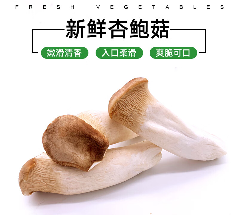 新鲜杏鲍菇500g 美味菌菇蔬菜 火锅食材 新鲜蔬菜