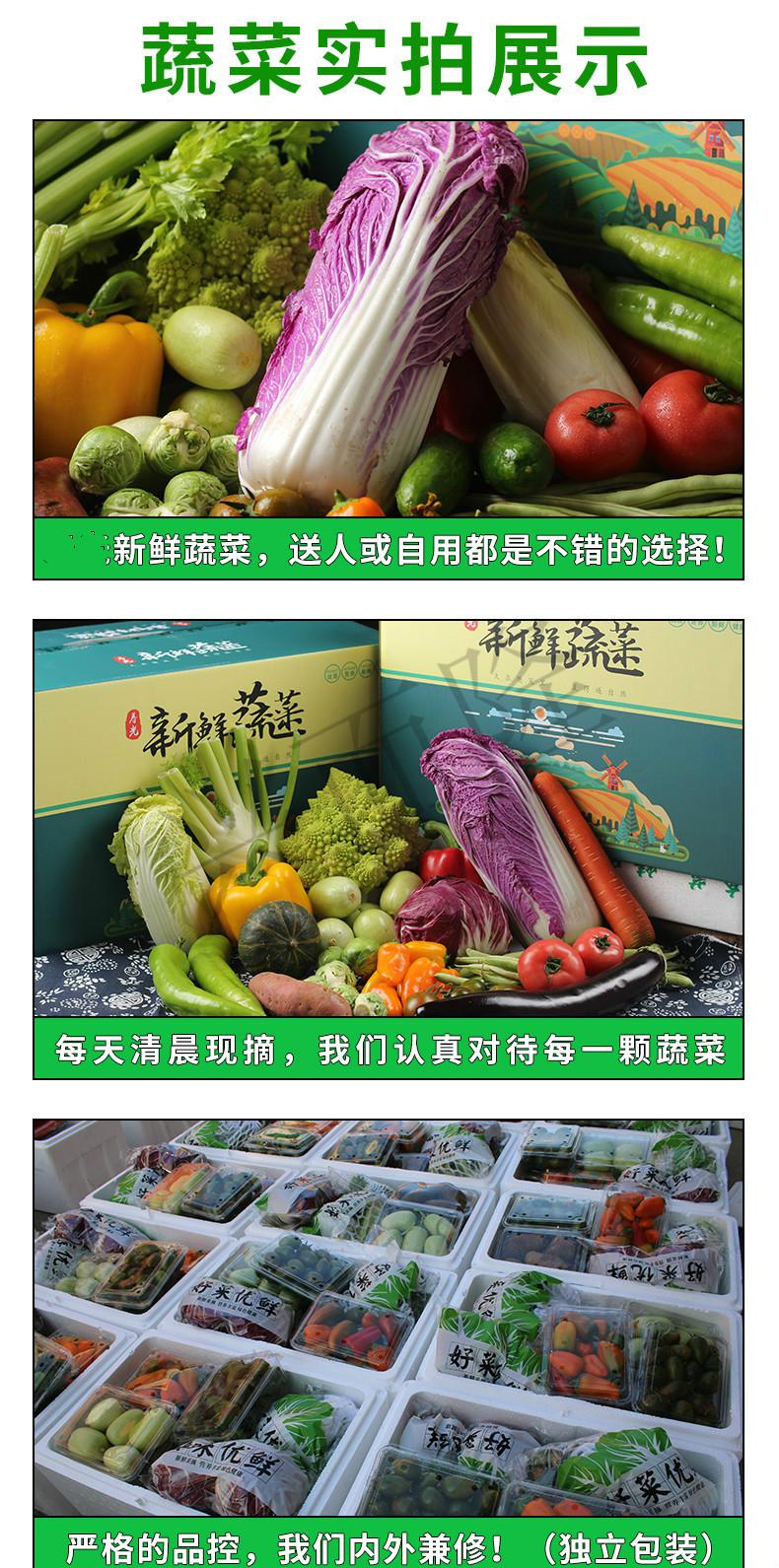 蔬菜新鲜组合混合当季套菜整箱大棚江苏新鲜采摘农家礼盒15斤