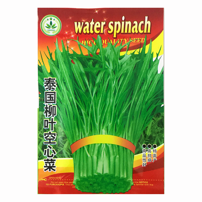 民生源(msy) 白梗大叶空心菜种子 蔬菜种子无心菜通心菜空筒菜可多次