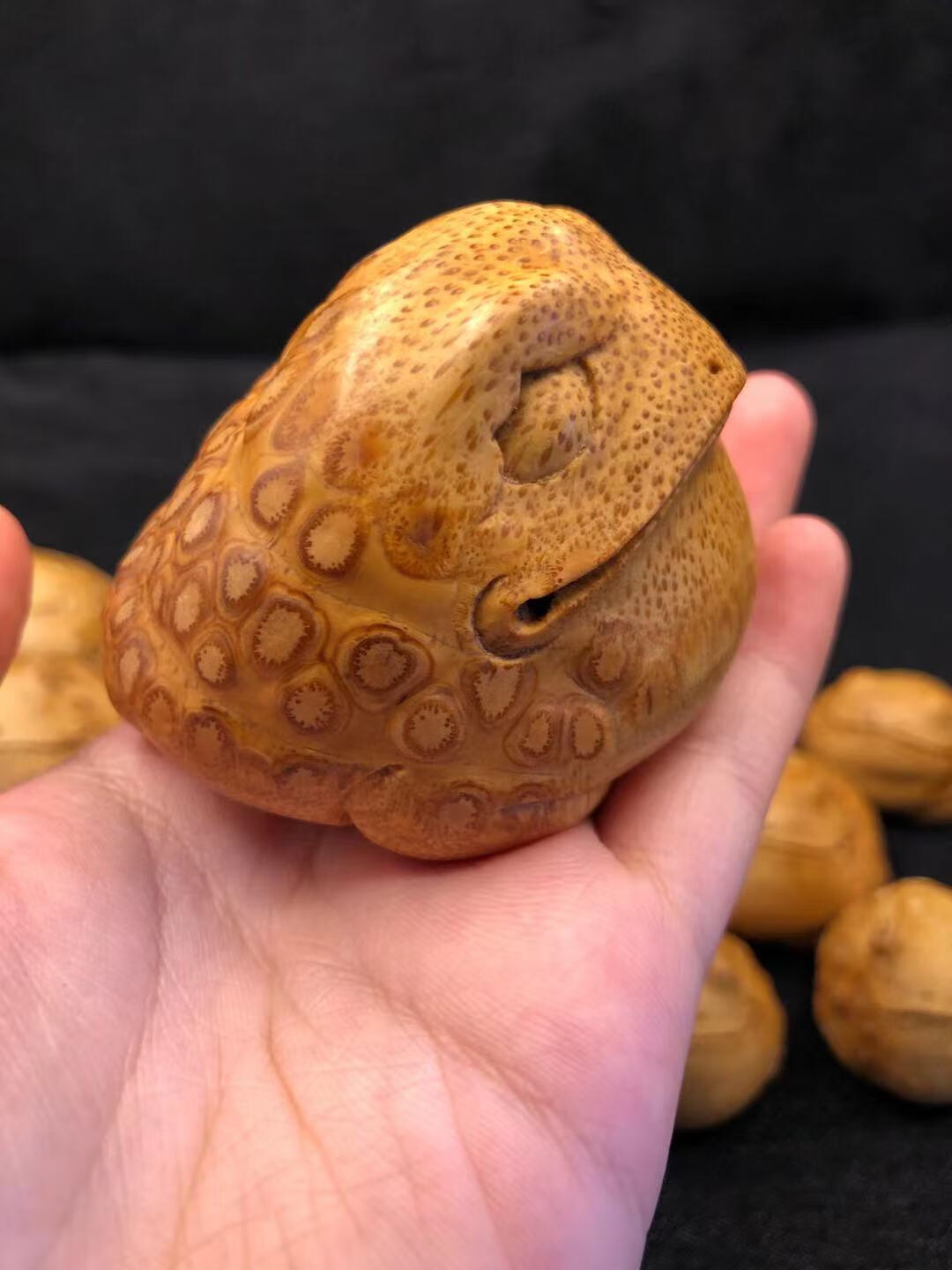 盘道竹根雕满钉入门级凸钉金蟾文玩手把件b1款金蟾不带配饰尺寸45482