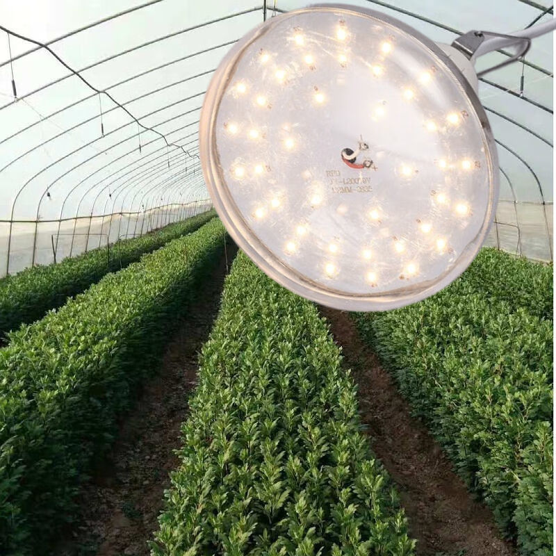 反季节火龙果补光专用改变花周期菊花专用植物生长补光灯 15w火龙果灯