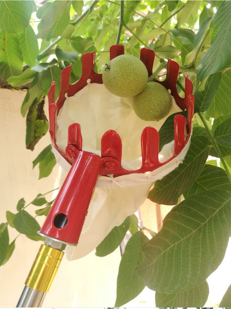 摘柿子专用工具 摘果神器杨梅枣柿子桃子高空伸缩采果剪摘果器抓勾钩