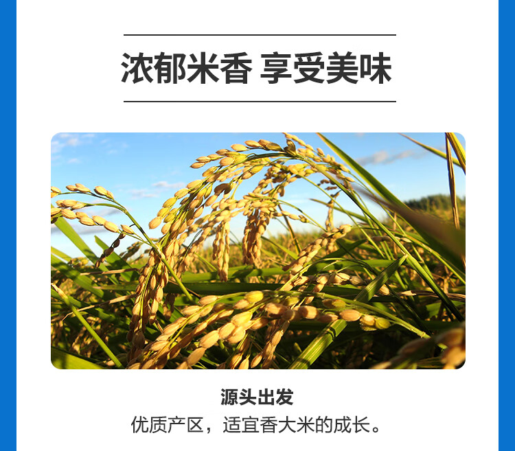//img10.360buyimg.com/imgzone/jfs/t1/86546/31/13300/342016/5e55c6afE69eae4dd/a6f2e8ccc35ce871.jpg