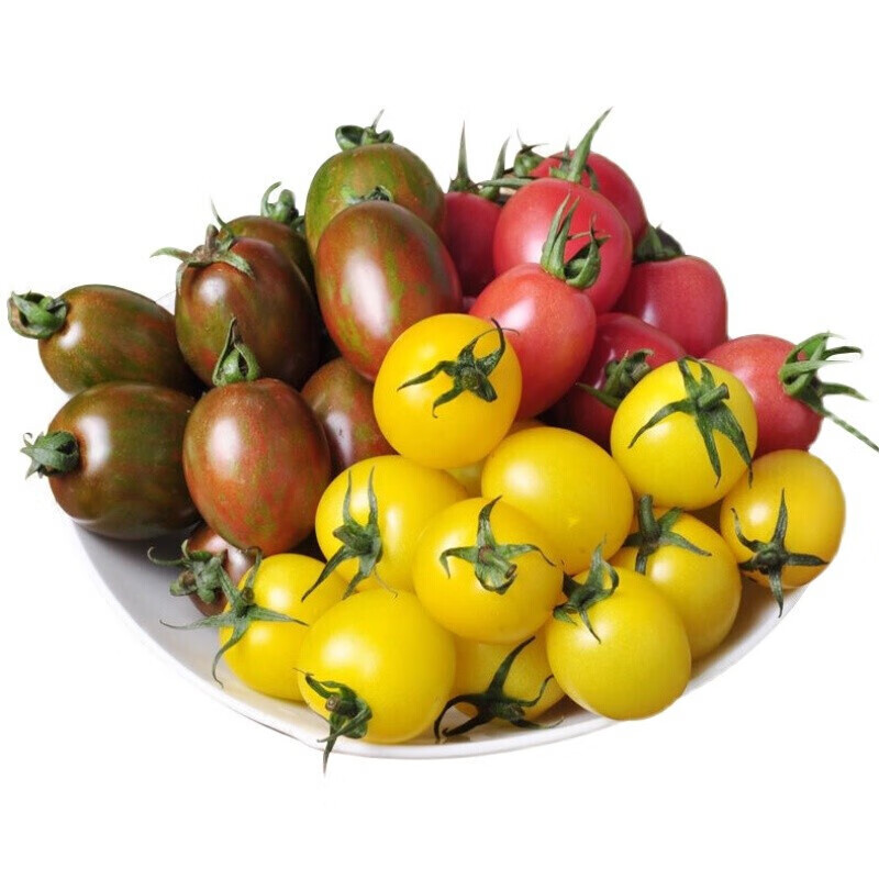速发寿光五彩色混装小番茄新鲜小西红柿青口阳光圣女果 5斤红 黄 迷彩