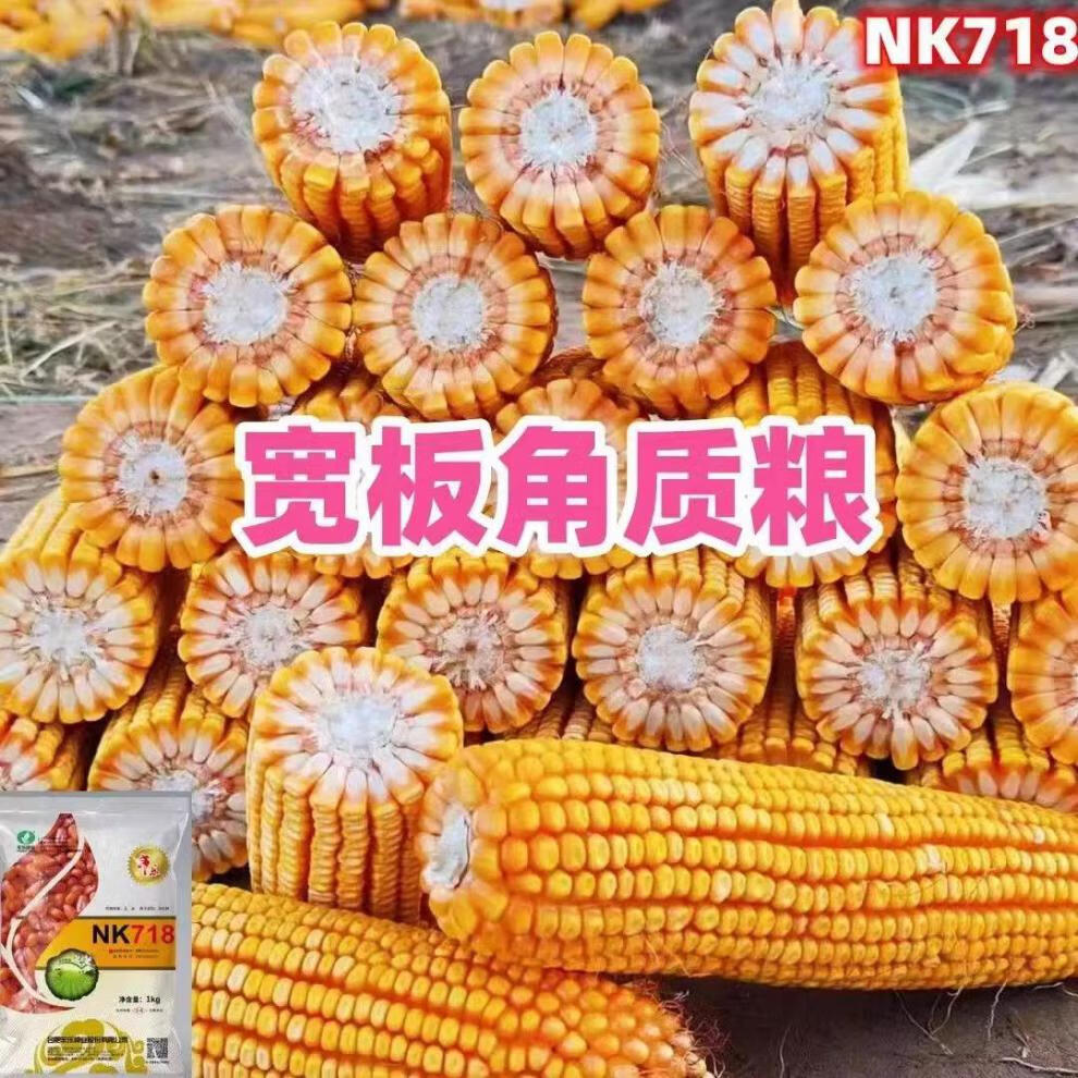 f8d422f943edab76.jpg