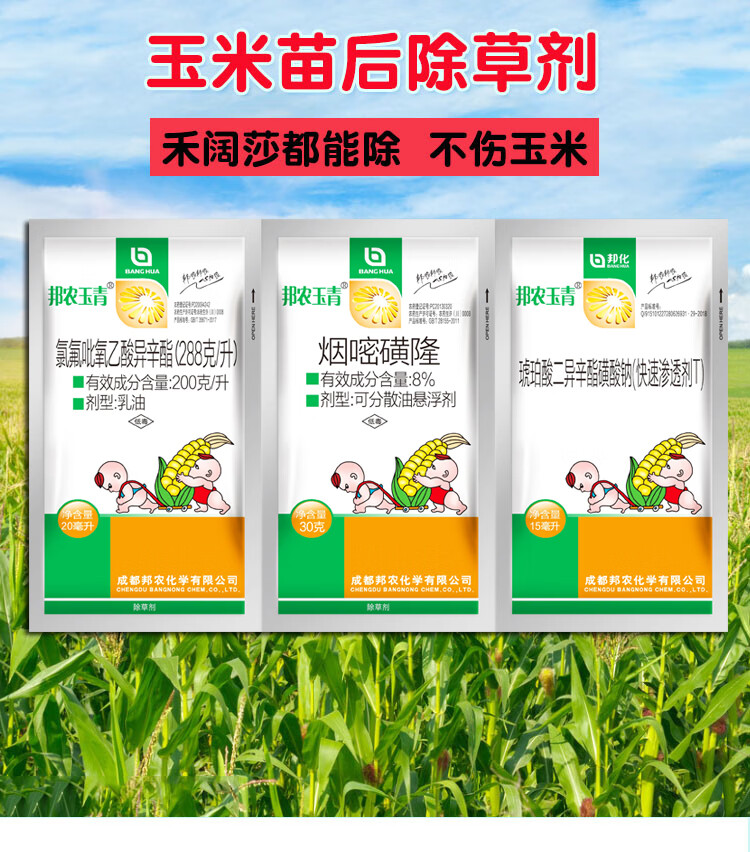 玉米专用除草剂种类图片