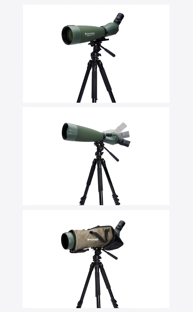 星特朗单筒观鸟镜锐高regalm2100fed高倍高清非人体观景regalm265fed