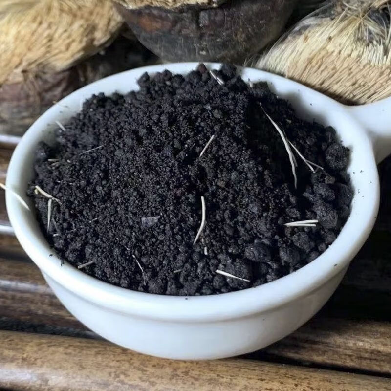 伟博麝香囊麝香仁中药材麝香泡酒麝香毛囊当门子钓鱼小药人工麝香支持